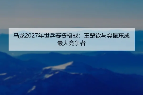 马龙2027年世乒赛资格战：王楚钦与樊振东成最大竞争者