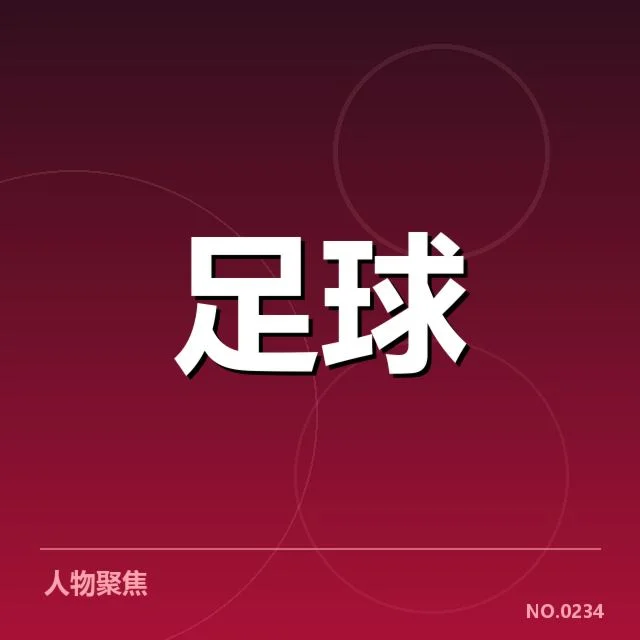 费内巴切当前确认人员与赛程